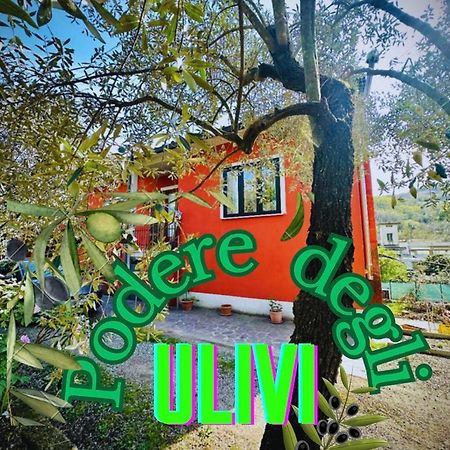 فيلا Podere Degli Ulivi Family Serravalle Pistoiese المظهر الخارجي الصورة